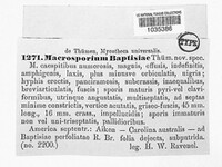 Image Associated With the Occurence